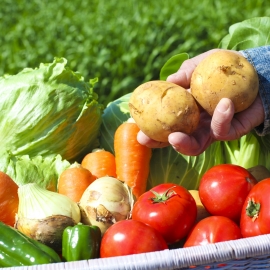 vegetables-grow-your-own-food